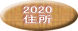 2020 Z 